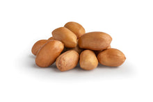 Load image into Gallery viewer, Roasted Unsalted Peanuts 100g - ناتزي فول سوداني مقشر بدون ملح ١٠٠ جم
